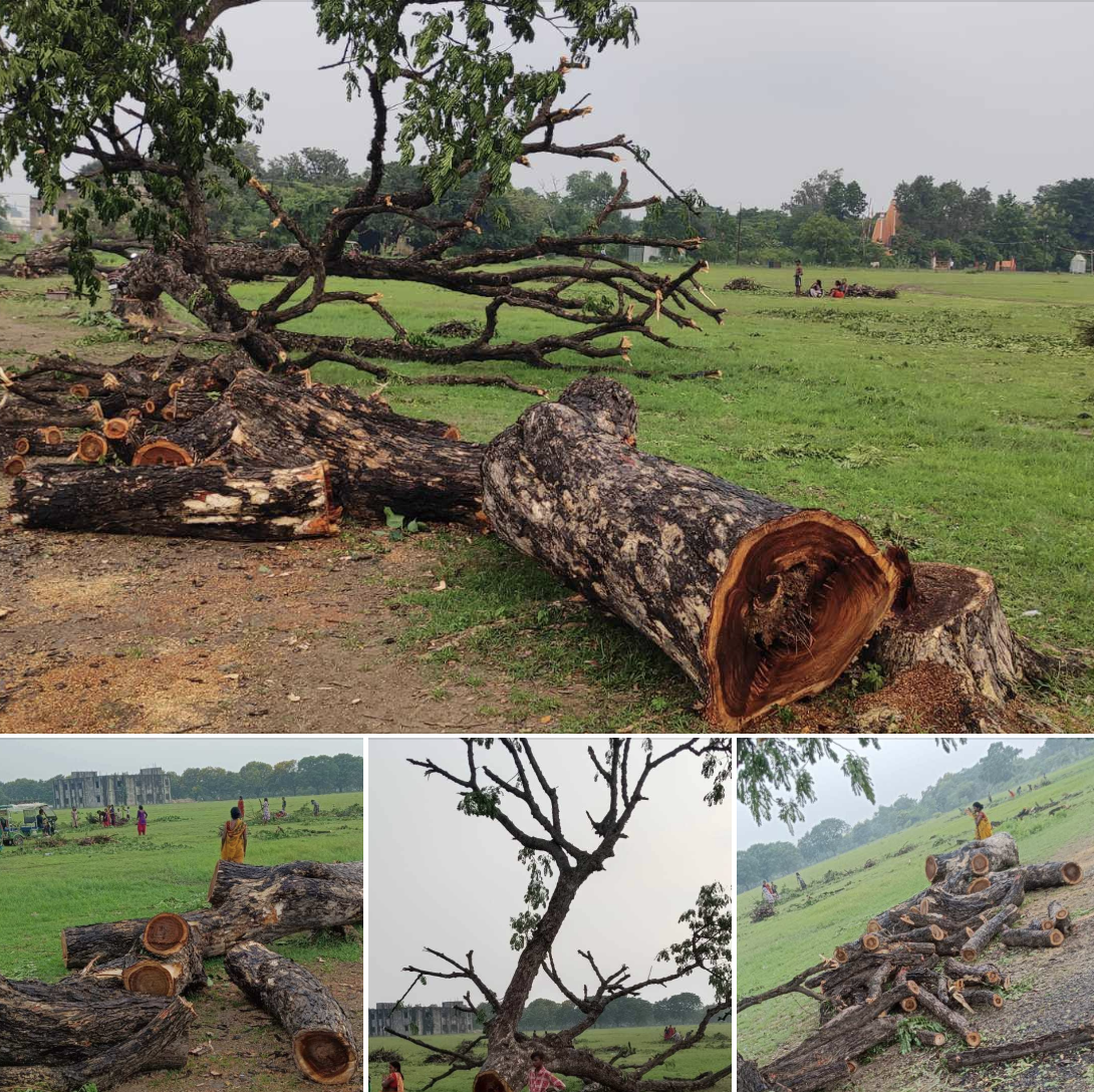  पर्यावरण का संहार